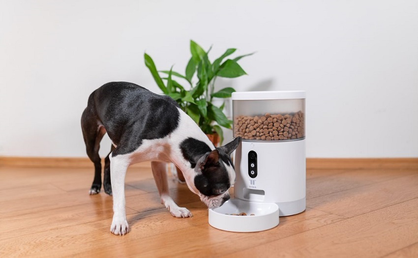 Tesla Smart Pet Feeder Camera